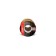 Seal KimTec P 9*5.5 Bay, 04-14-06, brown, 100 m