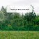 Decorative fence, 35 × 220 cm, 5 sections, plastic, green, Romanika, Greengo