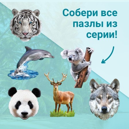 Figure puzzle "Cute Coala", 100 parts-4