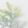 Decor for creativity "Tui branch" Green 33 cm
