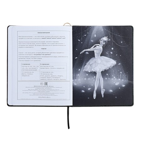 Universal Diary Grade 1-11, 48 sheets "Princess-ballerina", solid cover of artificial leather, lies, universal cheat sheet, block 80 g/m2-15