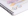 Album for drawing A4, 30 sheets, block 120 g/m², spirals, Erich Krause "Birds", plastic cover, 100% whiteness, solid substrate