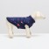 Dog jacket "Cosmos", size S, dark blue (DS 26, Osh 24, OG 34 cm)