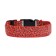 Collar with backlight leopard 3 glow modes Size S, Osh 22-40 x 2.5 cm red red