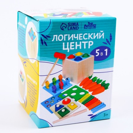 Logical center 5 in 1 "Play and develop"-9