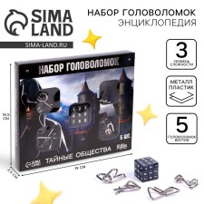 Metal puzzle 