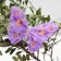 A butterfly for decor and floristry, on a clothespin, plastic, mix, 1 pc., 11 x 8.5 x 1 cm