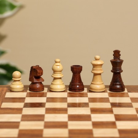 Board game 2V1 (chess + backgammon), board 20x20 cm, woods shisham-2