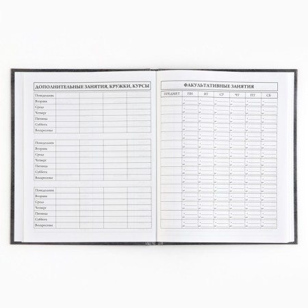 School diary 5-11 grade, in a solid cover, 48 liters. "Russia"-4