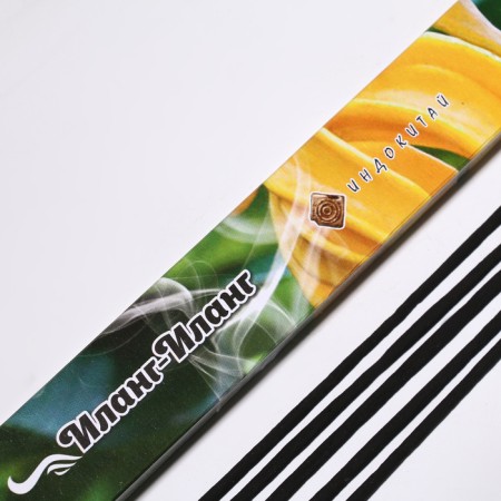 Incense "Charm of East Ilang-Ylang", 20 sticks in packaging-1