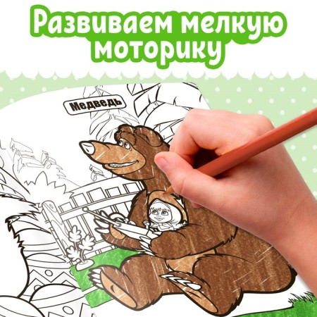 A set of coloring “Masha and the Bear”, 6 pcs. 16 p.-3