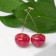 Earrings plastic "Berry" Cherry, red color in gold
