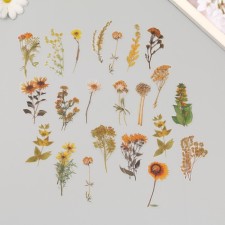 Plastic stickers 
