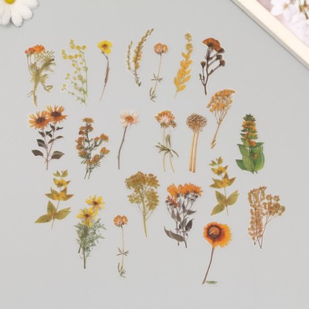 Plastic stickers "Autumn flowers. Yellow" set 40 pcs 15x8 cm