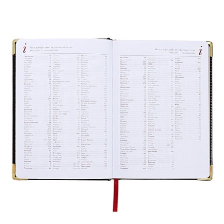 Diary of a low -up A5+, 136 sheets of Sidney Nebraska, solid cover, artificial leather, gold cut, golden corners, black-6