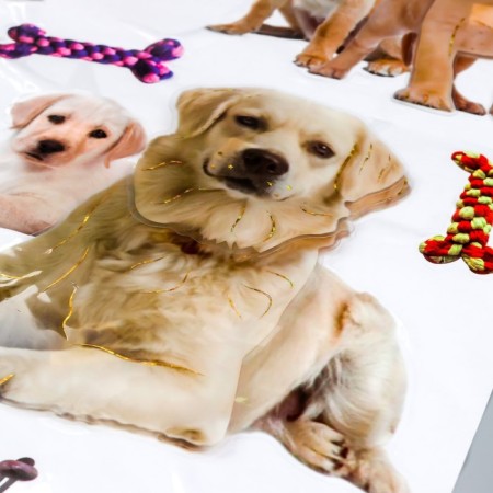 Plastic sticker 2D "Cats and Dog" MIX 54x35.5 cm-2
