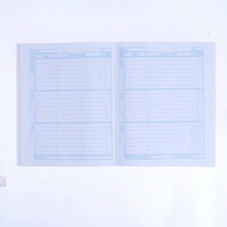 Diary for a music school, a solid cover of 48 sheets, "adventures of a cat cat", glossy lamination, 2 cv block, with reference information-3