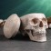 Casket for trifles "Skull" Light Stone, 16x15x22cm
