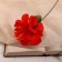 Artificial flowers "Crisp" D-11 cm H-27 cm, red