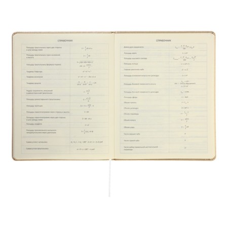 Universal diary for grade 1-11 Bow, hard cover, artificial leather, foil embossing, lies, 80 g/m2-9