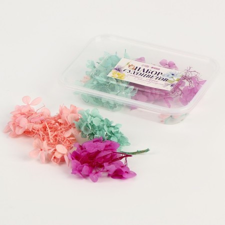 Set of dried flowers "Hydrangea"