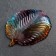 Glass Serving “Bird Hand”, curly, 20.5 × 16.5 cm