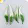 Decor for creativity "Leaves of the thin fern gradient" set of 4 pcs 17 cm