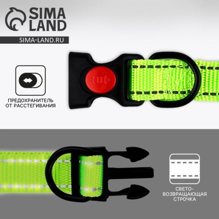 A collar with a nylon lining with fastx 2 cm, a green-1