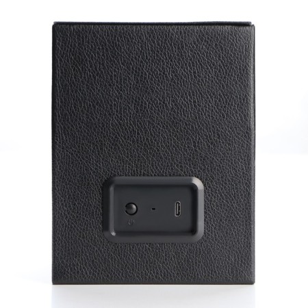 Casket for watching watches, with auto polling, USB-2