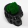 Kashpo concrete "Skull Silence" with moss 6.5x10 cm black (moss green stabilized)