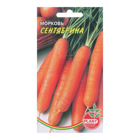 Seed Carrots "September", 800 pcs.