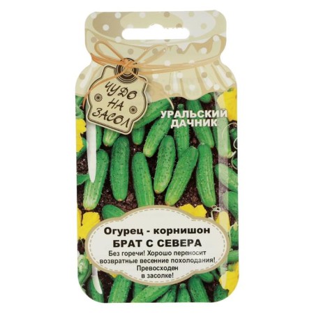 Семена огурца "Брат с Севера", 10 шт.-3