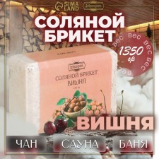 Salt briquette 