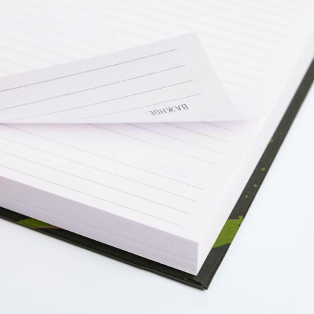 Diary "Leo Character and Strength", A5, 160 sheets-3