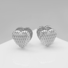 Earrings Metal 