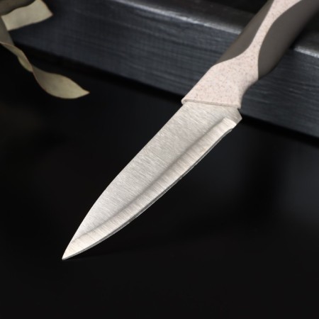 Knife for vegetables kitchen shade "Mezuri", blade 9.5 cm, color mix-1