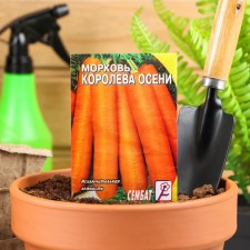 Seed Carrots 