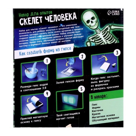 Set for experiments "Human Skeleton"-7