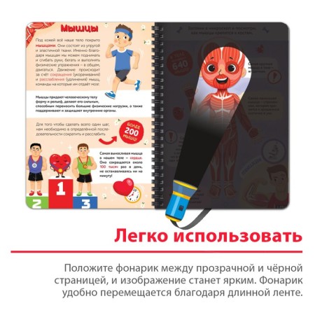Smart book with the flashlight "My Body". Light and study, 30 p.-2