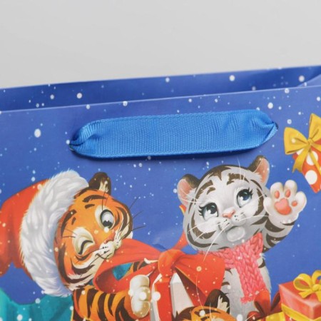 Laminated horizontal package "Funny Tigers", MS 18 x 23 x 10 cm, New Year-2