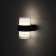 Facade lamp “Double Grand”, FSD-076, 10 W, 4000K, IP65, 220 V, plastic, black