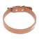 A collar of artificial leather with a wool for engraving 52 x 2.5 cm, Osh 35-45 cm, brown
