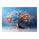 Picture on canvas "Blooming Tree" 50*70 cm