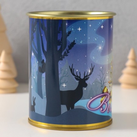 Pigger Bank Metal "Magic"-1