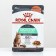 Wet feed RC Care Digestive for home cats with sensitive gastrointestinal tract, sauce, spider, 85
