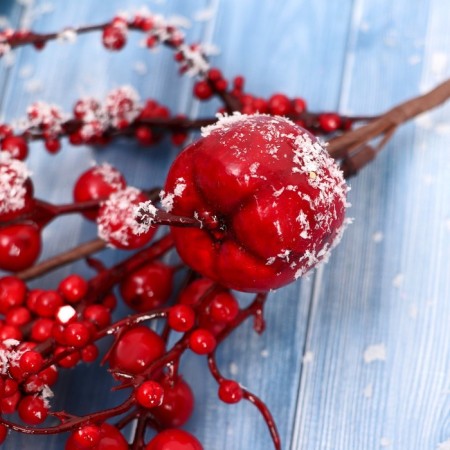 Decor "Winter charm" a twig with an apple and berries, 30 cm-2