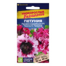 Petunia seeds 