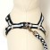 Set "braid", fluorescent, leash 115 x 1 cm, og 32-48 x 1.5 cm, black