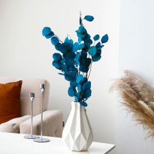 Sukhotzet of peach wood, 50 g, length - 70 cm, blue color