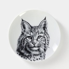 Porcelain plate 